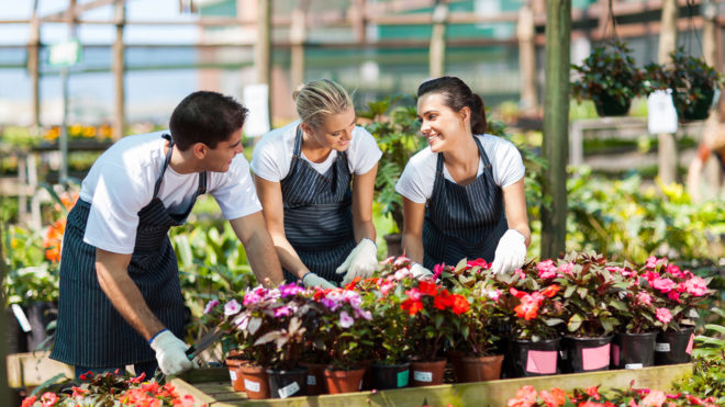 Flowers in your garden. The best sorts of flowers for outdoors.