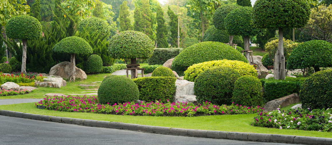 Japanese style in your garden. Everything you need to know.